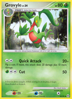 Grovyle Lv.24