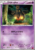 Pumpkaboo - Collection Y (Common) [XY1y-027]