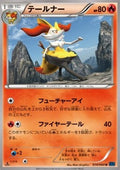 Braixen - Collection X (Uncommon) [XY1x-014]