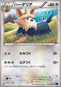 Herdier - Collection X (Common) [XY1x-050]