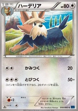 Herdier - Collection X (Common) [XY1x-050]