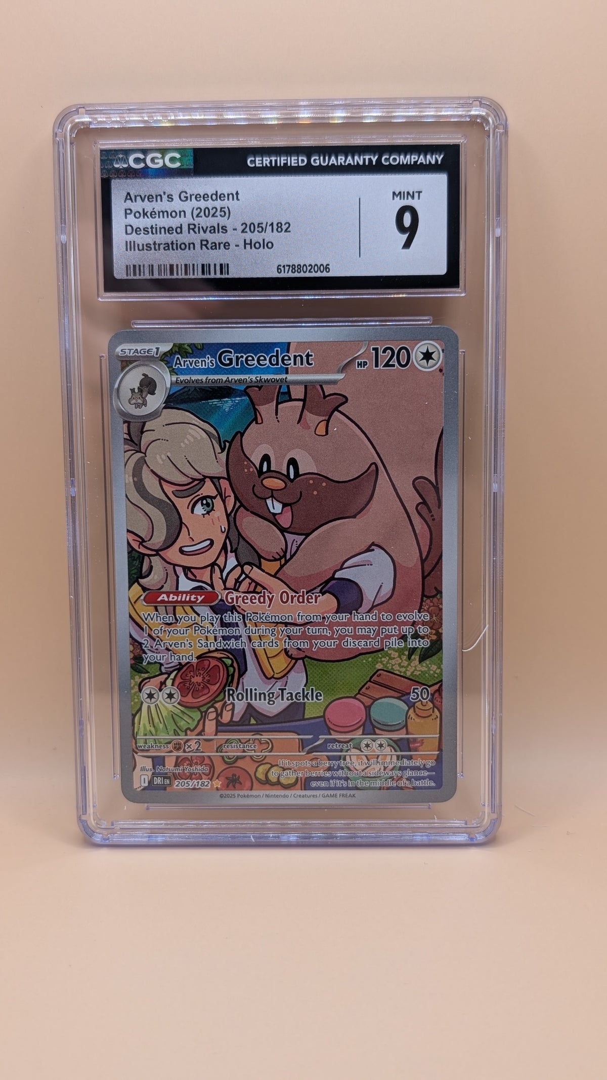 Arven's Greedent - Destined Rivals (Illustration Rare) [DRI-205]